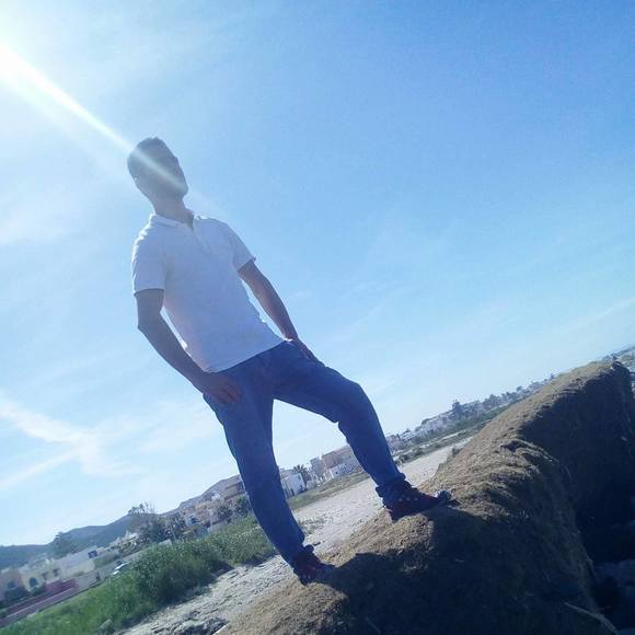 wajdis17